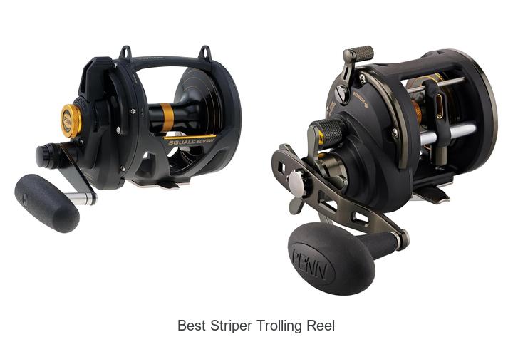 Top 15 Best Striper Trolling Reel That Anglers Swear By