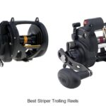 Top 15 Best Striper Trolling Reels You Can’t Miss Today