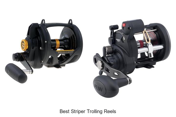 Top 15 Best Striper Trolling Reels You Can’t Miss Today