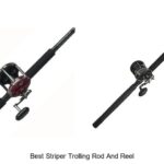 Top 15 Best Striper Trolling Rod and Reel You Must Try!