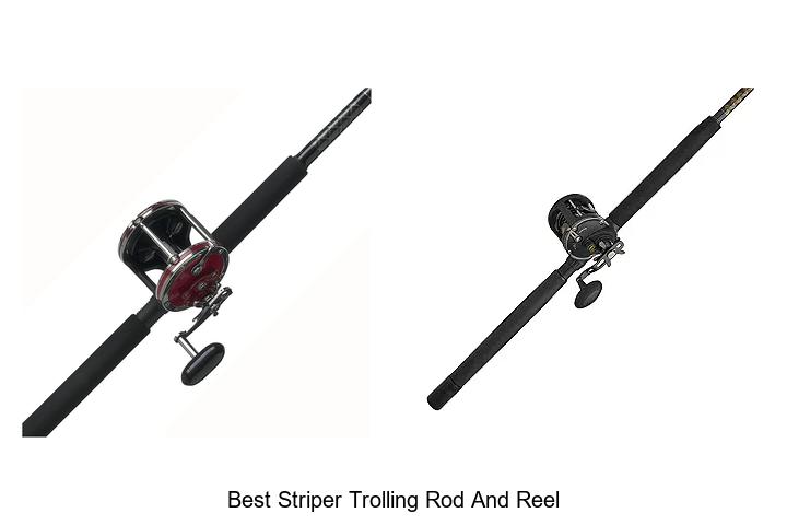 Top 15 Best Striper Trolling Rod and Reel You Must Try!