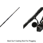 Top 15 Best Surf Casting Rod for Plugging That Crush Waves