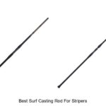 Top 15 Best Surf Casting Rod for Stripers You Need Now