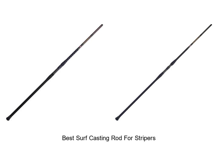 Top 15 Best Surf Casting Rod for Stripers You Need Now
