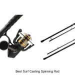 Top 15 Best Surf Casting Spinning Rod You Can’t Miss