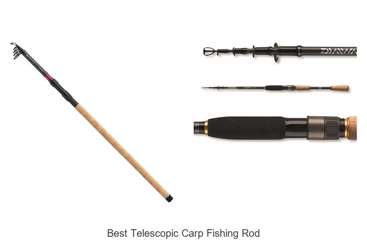 Top 15 Best Telescopic Carp Fishing Rod – Unbeatable Picks!