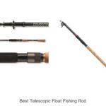 Top 15 Best Telescopic Float Fishing Rods You Must Own!