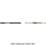 Top 15 Best Telescopic Musky Rod That Will Blow Your Mind