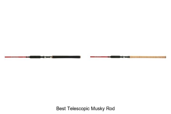 Top 15 Best Telescopic Musky Rod That Will Blow Your Mind