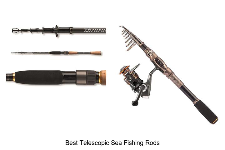 Top 15 Best Telescopic Sea Fishing Rods You Need Now