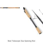 Top 15 Best Telescopic Sea Spinning Rod You Can’t Miss!