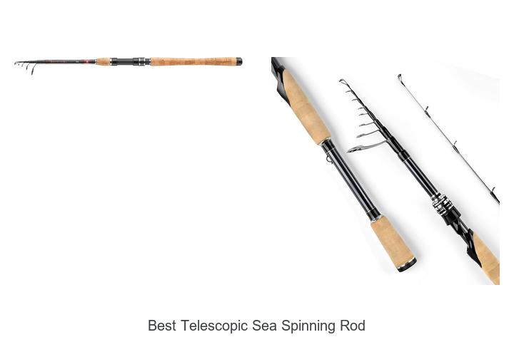 Top 15 Best Telescopic Sea Spinning Rod You Can’t Miss!