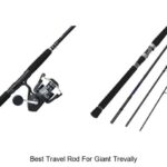 Top 15 Best Travel Rod For Giant Trevally You Need Now