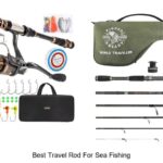 Top 15 Best Travel Rod for Sea Fishing You Must Own Now