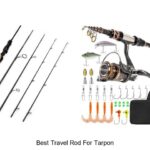 Top 15 Best Travel Rod For Tarpon You Can’t Miss Today