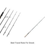Top 15 Best Travel Rods for Snook That Will Shock You!