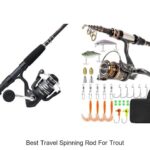 Top 15 Best Travel Spinning Rod for Trout You Need Now!