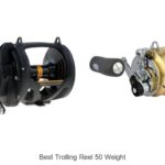 Top 15 Best Trolling Reel 50 Weight You Can’t Miss!