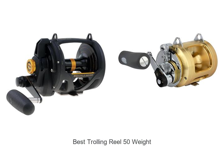Top 15 Best Trolling Reel 50 Weight You Can’t Miss!