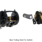 Top 15 Best Trolling Reel for Sailfish You Can’t Miss