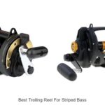 Top 15 Best Trolling Reel For Striped Bass You Must Try