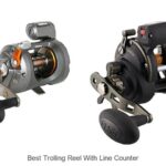 Top 15 Best Trolling Reel With Line Counter You Can’t Miss