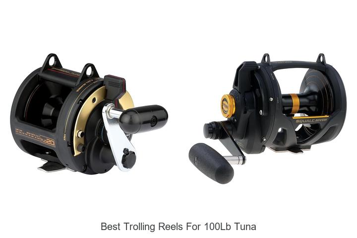 Top 15 Best Trolling Reels for 100lb Tuna That Wow Anglers!
