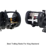 Top 15 Best Trolling Reels For King Mackerel You Need Now