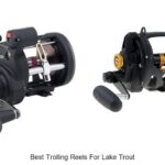 Top 15 Best Trolling Reels For Lake Trout You Need Today!