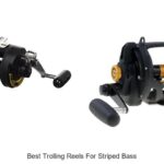 Top 15 Best Trolling Reels for Striped Bass You Need Now