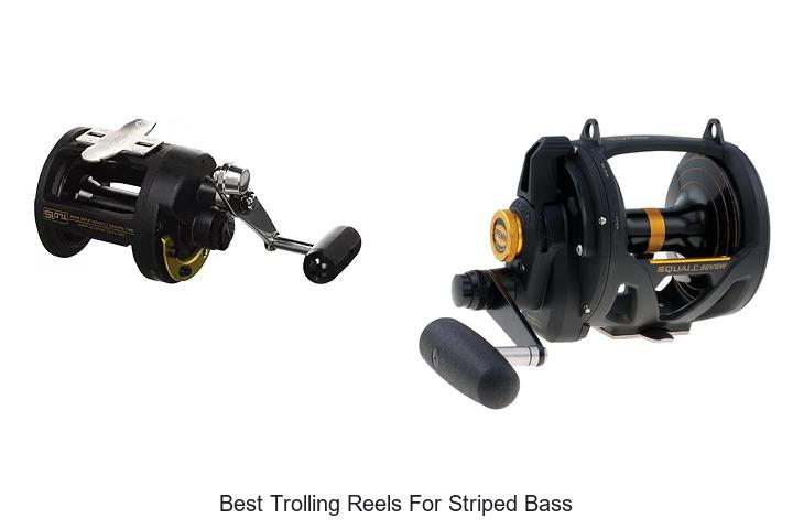 Top 15 Best Trolling Reels for Striped Bass You Need Now