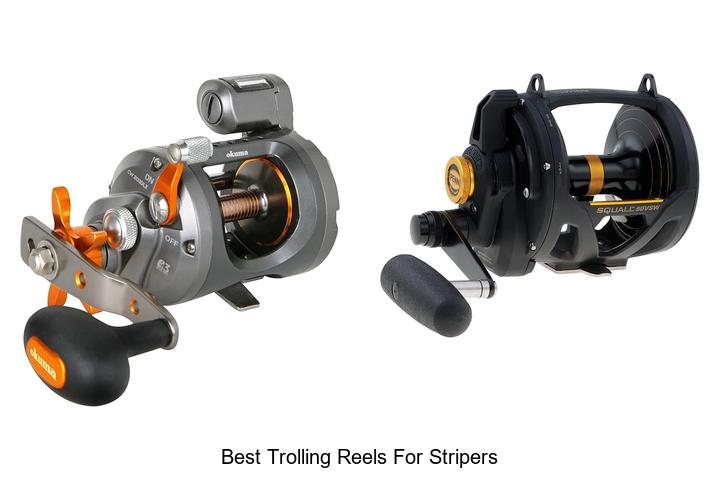 Top 15 Best Trolling Reels for Stripers You Can’t Miss