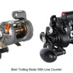 Top 15 Best Trolling Reels With Line Counter You Need Now