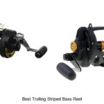 Top 15 Best Trolling Striped Bass Reel That Will Shock You!