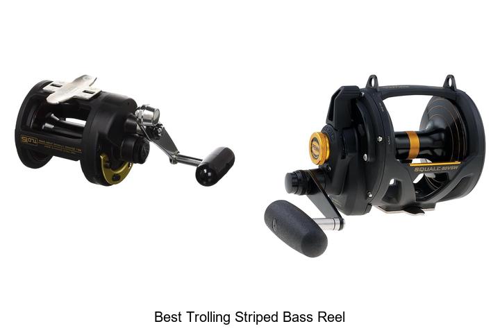 Top 15 Best Trolling Striped Bass Reel That Will Shock You!