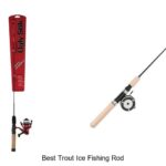 Top 15 Best Trout Ice Fishing Rods That Catch More Fish!