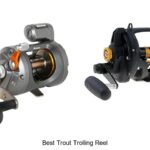 Top 15 Best Trout Trolling Reel You Can’t Miss Today!