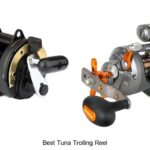 Top 15 Best Tuna Trolling Reel That Will Boost Your Catch