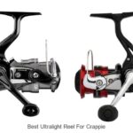 Top 15 Best Ultralight Reel for Crappie That Crush Catches!
