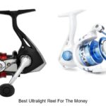 Top 15 Best Ultralight Reel For The Money You Can’t Miss!