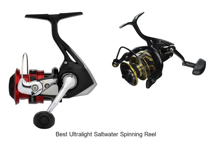 Top 15 Best Ultralight Saltwater Spinning Reel Revealed!