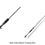 Top 15 Best Value Beach Casting Rods That Blow Minds!