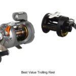 Top 15 Best Value Trolling Reel That Anglers Swear By