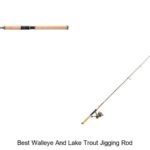 Top 15 Best Walleye And Lake Trout Jigging Rod You Need Now