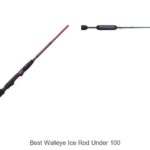 Top 15 Best Walleye Ice Rod Under 100 That Catch Big Fish!