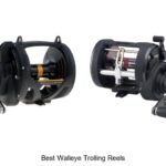 Top 15 Best Walleye Trolling Reels You Can’t Miss Today