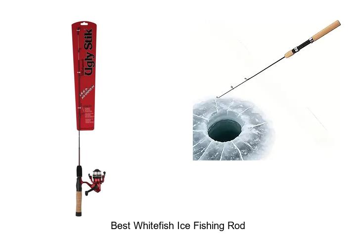 Top 15 Best Whitefish Ice Fishing Rods You Need Now