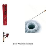 Top 15 Best Whitefish Ice Rod You Can’t Miss Today!