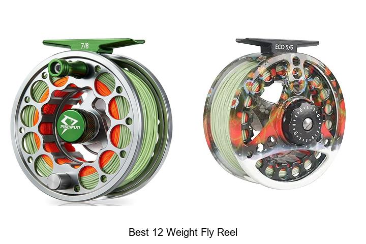 Top 12 Best 12 Weight Fly Reel Secrets You Can’t Miss!