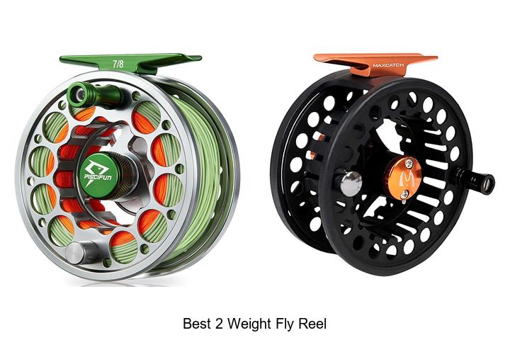 Top 12 Best 2 Weight Fly Reel That Will Blow Your Mind